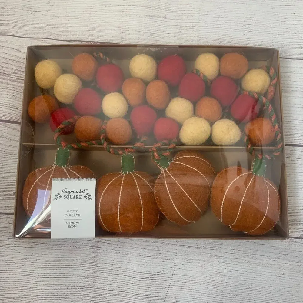 Haymarket Square Pumpkin Felt Ball Fall Garland Jute String Fall Thanksgiving 6'